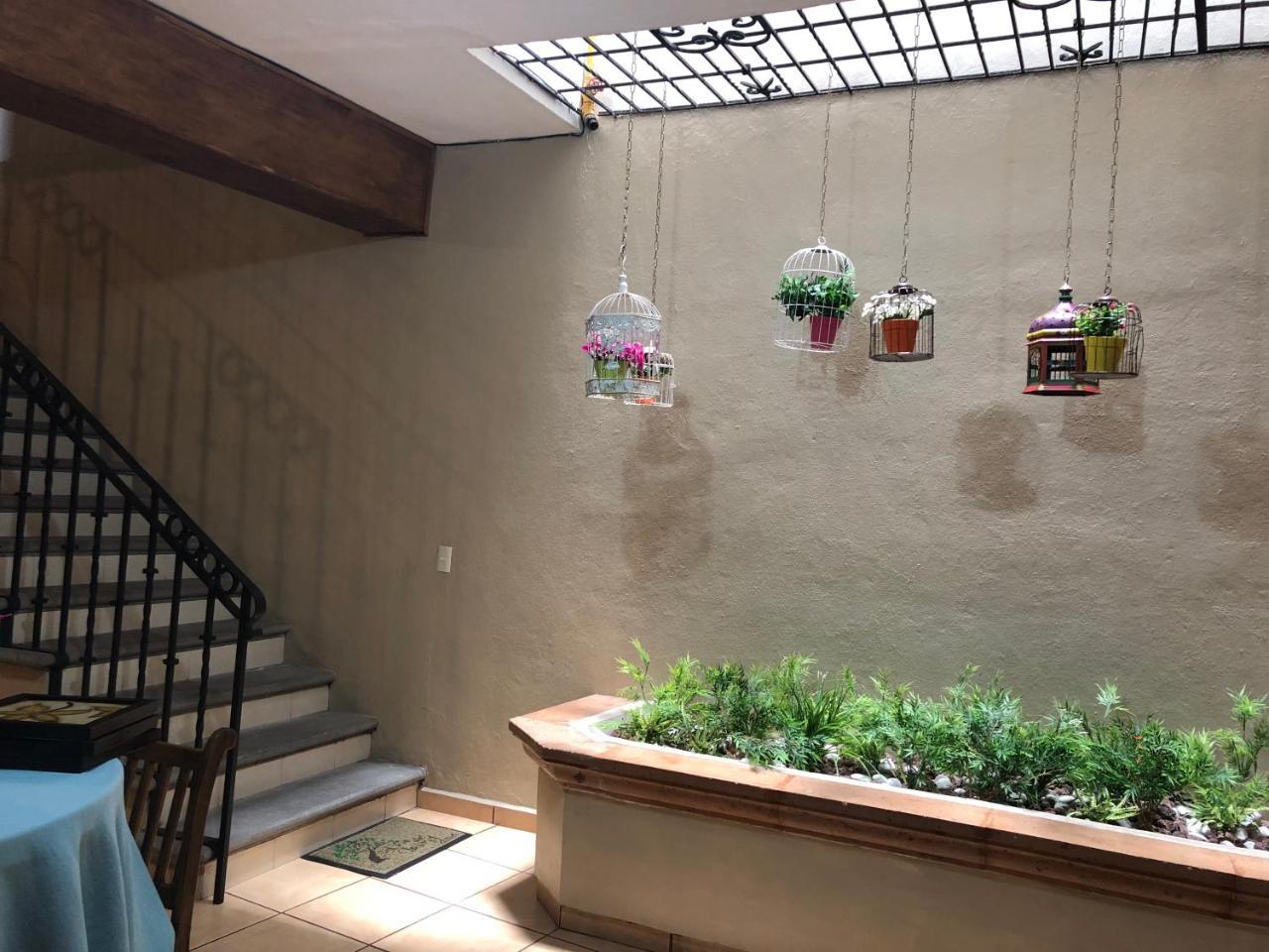 塔斯科·德·阿拉尔孔 La Casa Del Laurel酒店 外观 照片